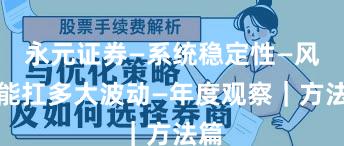 永元证券—系统稳定性—风控能扛多大波动—年度观察｜方法篇